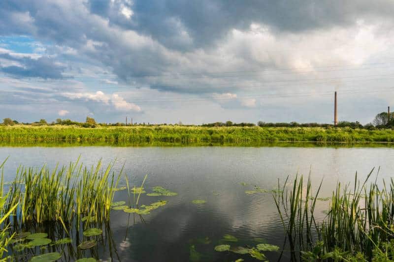 Serene water landscape with lush greenery and cloudy sky in Whittlesey, Cambridgeshire.